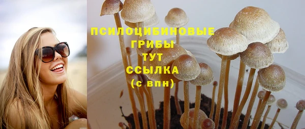 спиды Бронницы