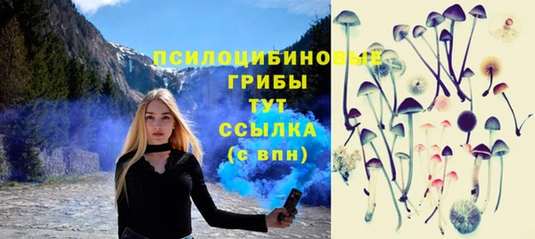 гидропоника Тында