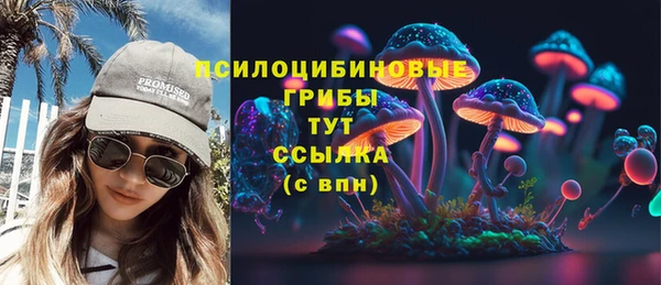 спиды Бронницы