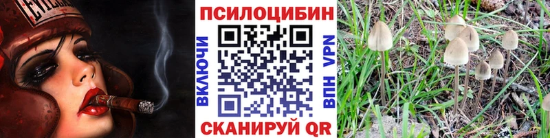 Псилоцибиновые грибы Magic Shrooms Кимовск