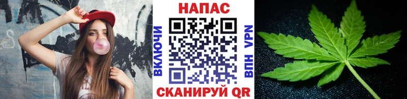 Каннабис конопля  Кимовск 